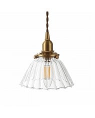Aveline hanglamp van helder glas met metalen frame HL4039