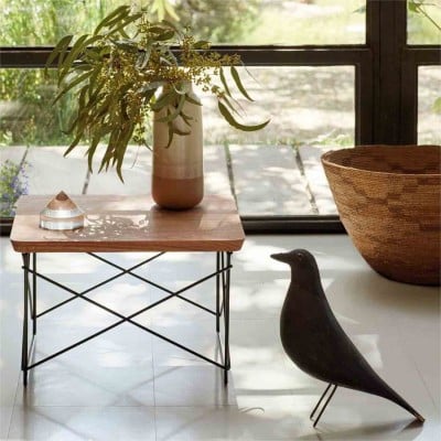 Huis Vogel Decoratief Ornament Huis Vogel Decoratief Ornament