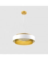 Lampe à suspension moderne en plastique avec motif de fleur HL673