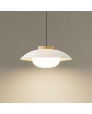 Lámpara colgante moderna de cristal opalino con forma de orbe HL276 Lámpara colgante moderna de cristal opalino con forma de orbe HL276