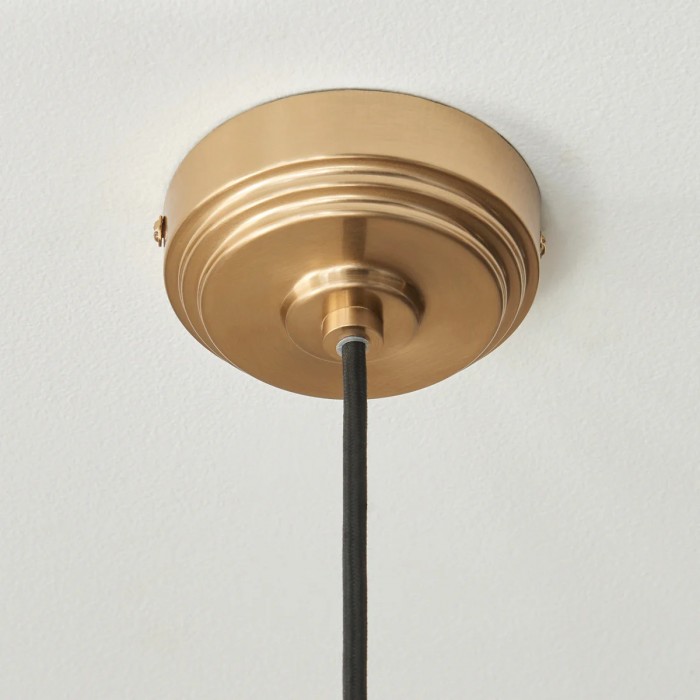 Floriaxis Floral Glass Pendant Light - Floral Glass Shade with Braided Cable for Kitchen or Dining HL2155