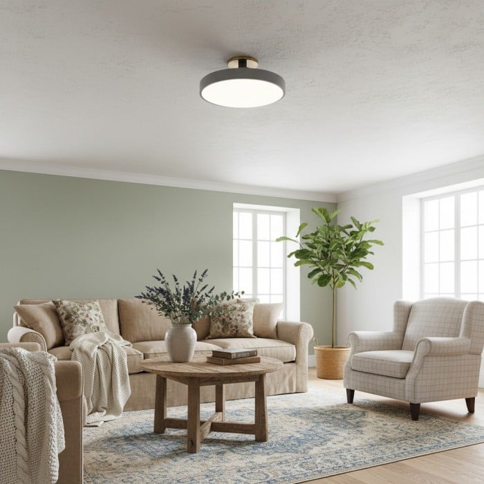 Ceilivon Ceiling Light Wide Diffuser Flush Mount Ceiling Light - Modern Style for Living Room HL2313