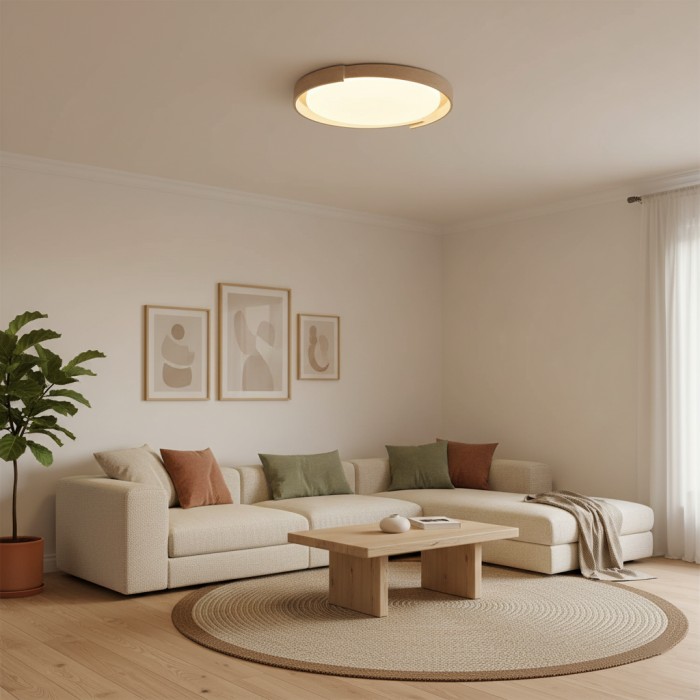 Dari ronde plafondlamp HL2620