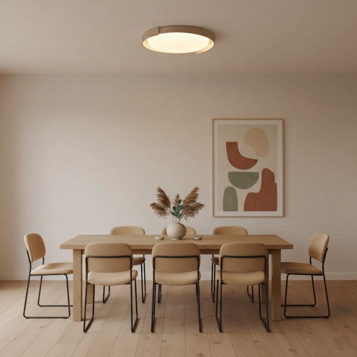 Dari ronde plafondlamp HL2620