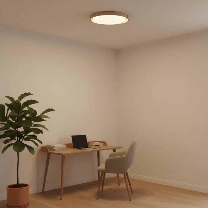 Dari ronde plafondlamp HL2620