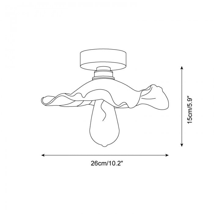 Liora plafondlamp HL2691