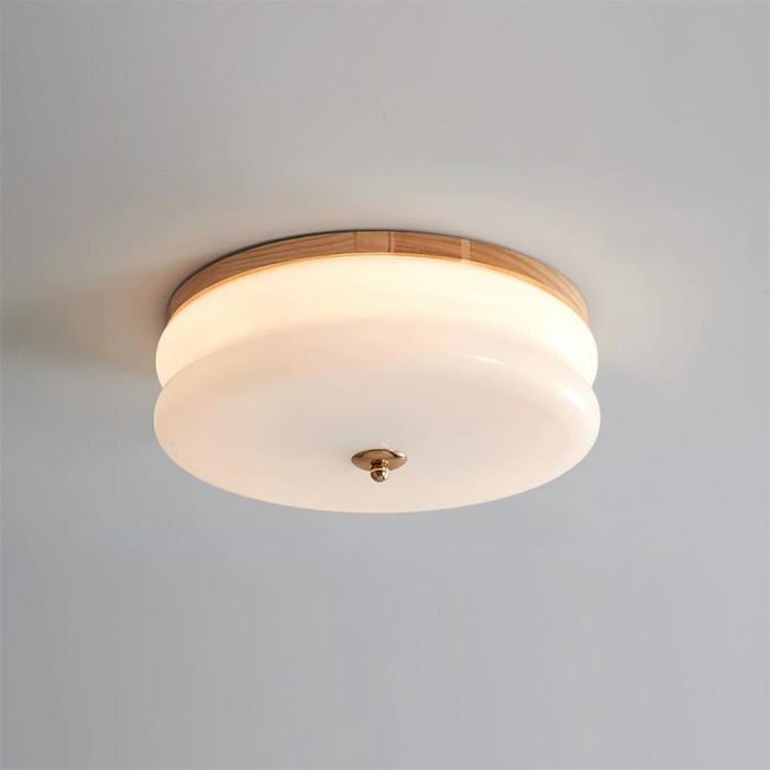 Rowen plafondlamp HL2558