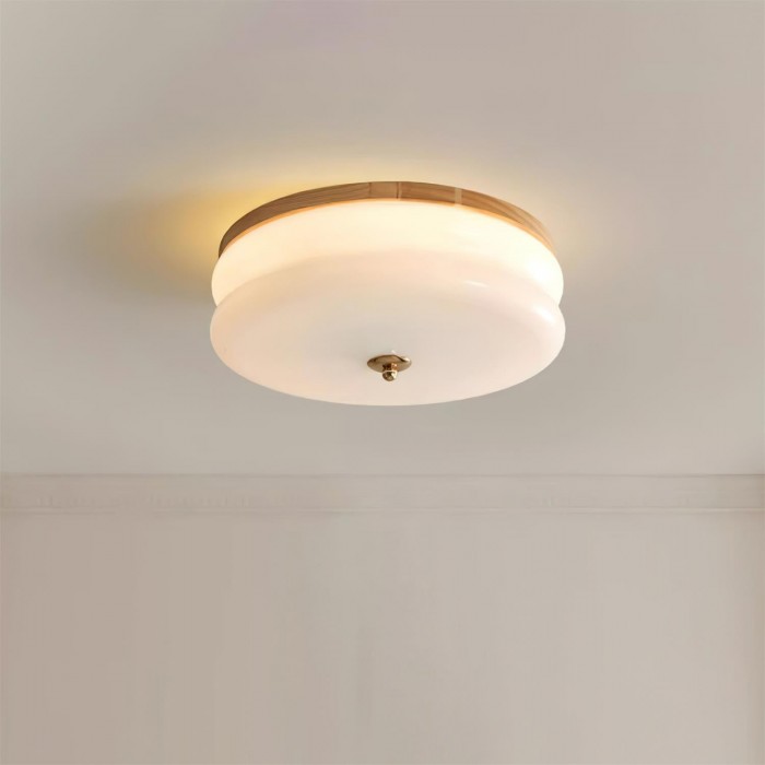 Rowen plafondlamp HL2558