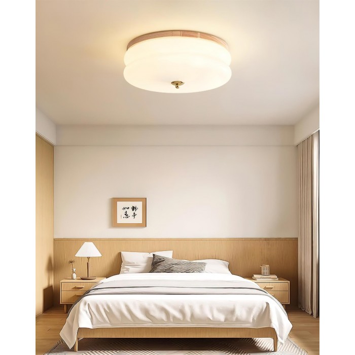 Rowen plafondlamp HL2558
