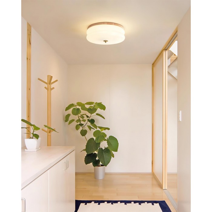 Rowen plafondlamp HL2558