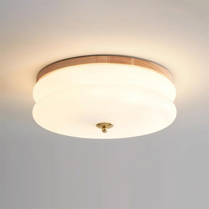 Rowen plafondlamp HL2558