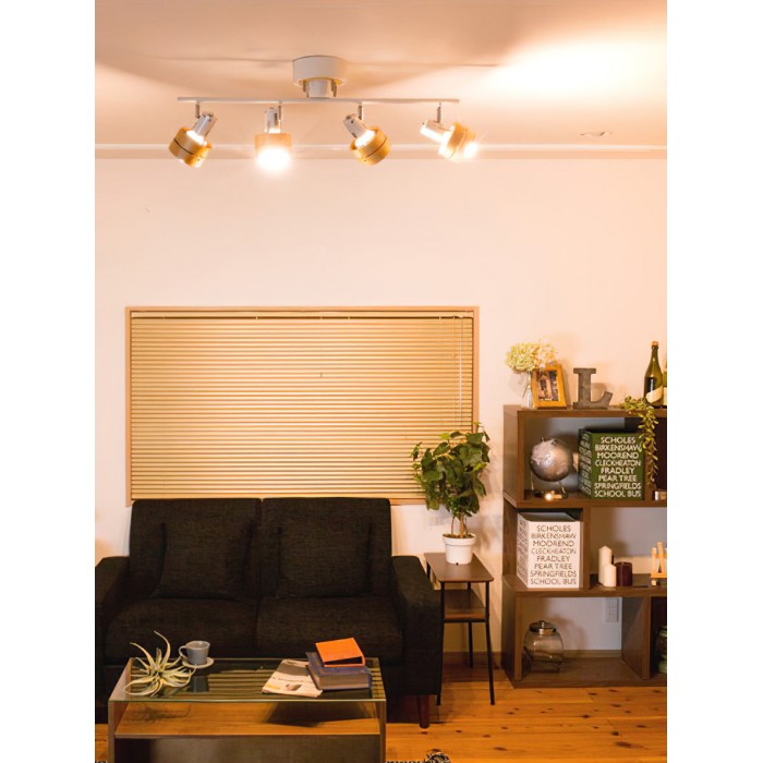 Nordic Cylindrical 4-Light Spotlight HL2968