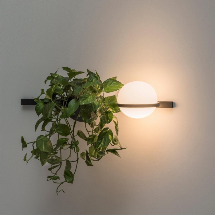 Palma wandlamp HL3062