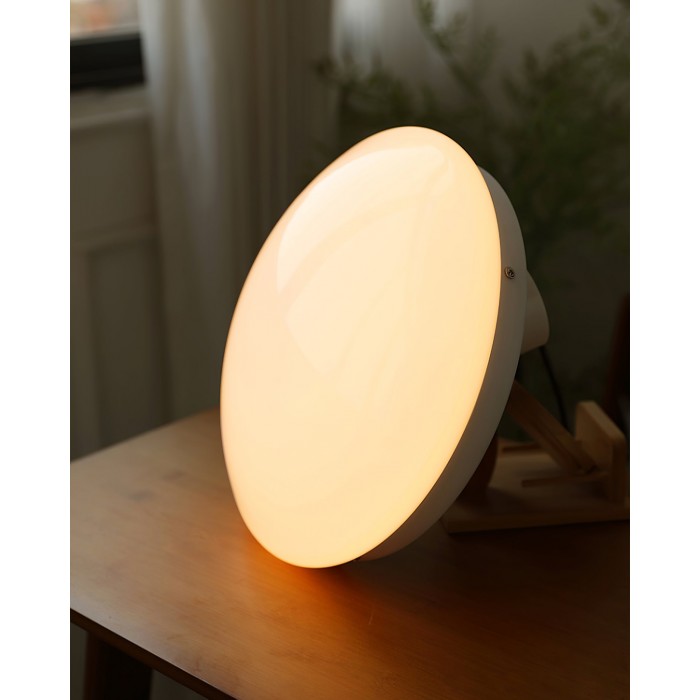 Wickes Flush Ceiling Light HL2971