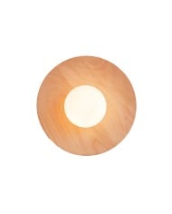 The Shimmering Glow Premium Minimalist Brass Wall Light HL3401