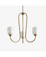 Shellure Retro Shell Texture Chandelier - Sculptural Coastal Home Lighting Fixture HL3533