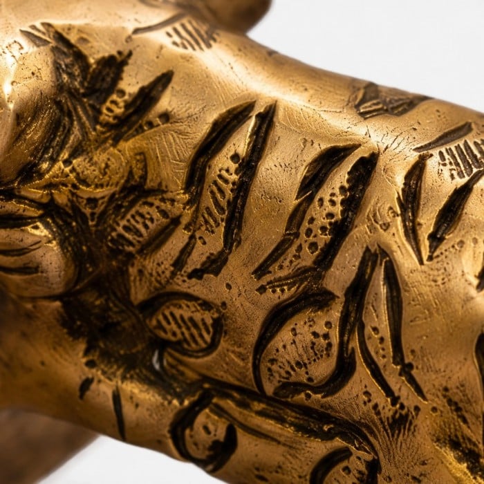 Poignées de porte artisanales en laiton en forme d'animaux HL4079