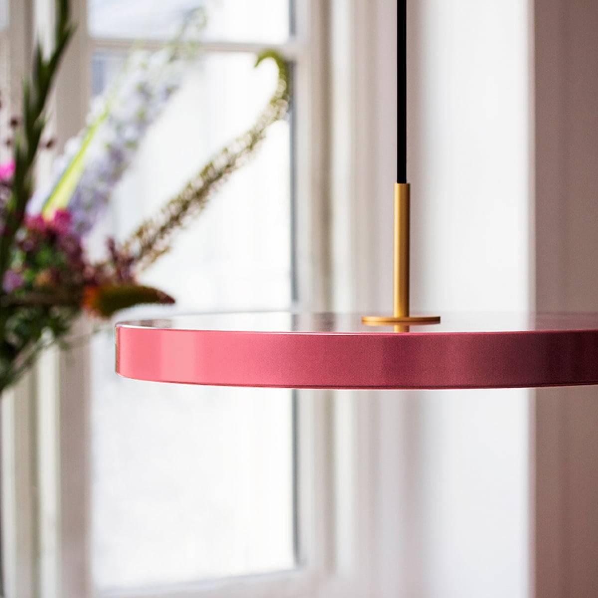 Moderne Minimalistische Asteria LED Hanglamp