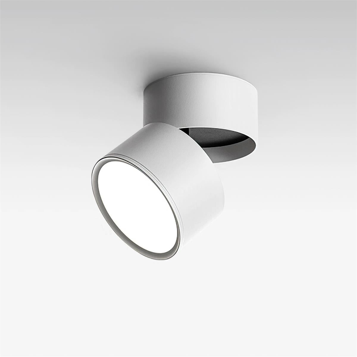 Favilla Opbouwspot HL2557