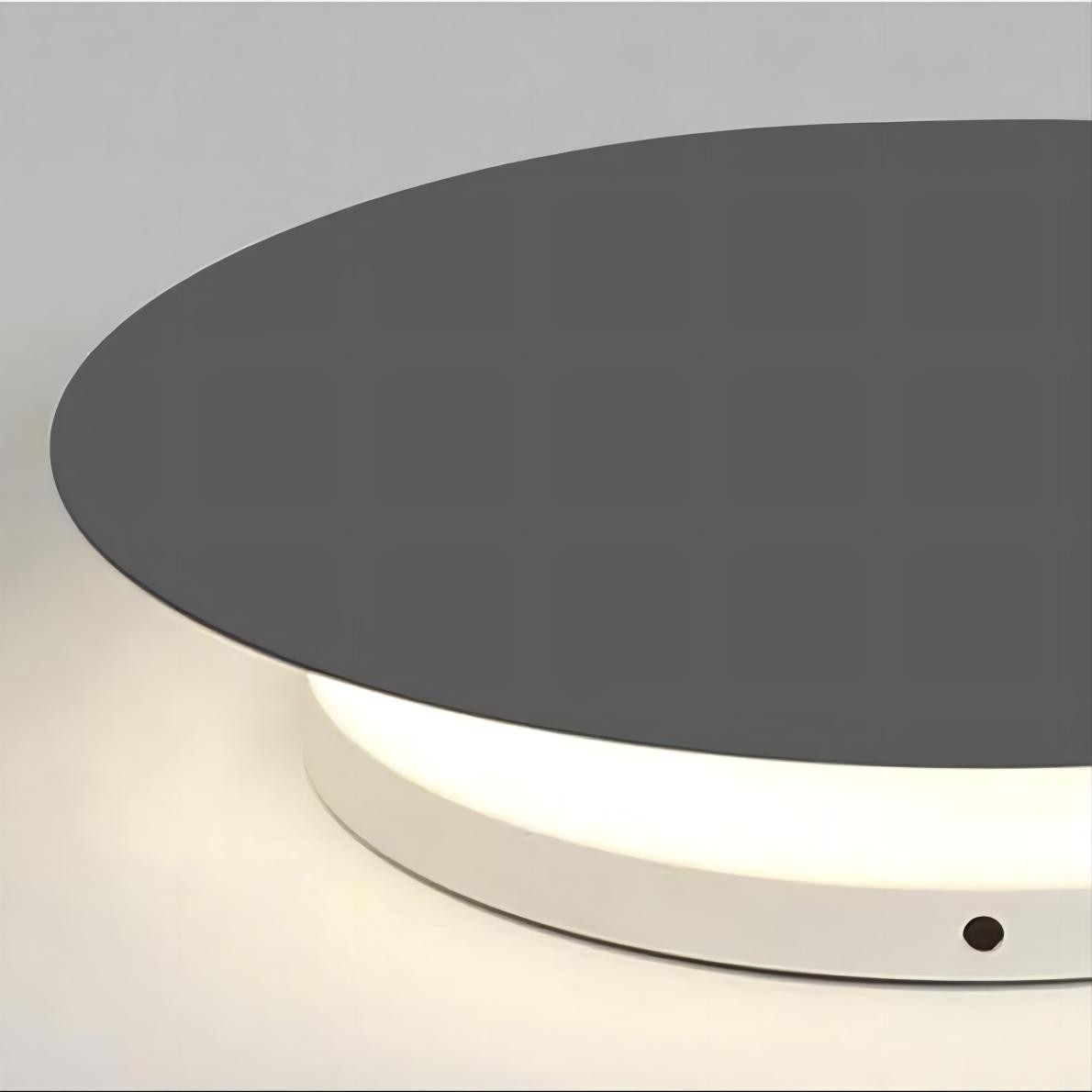 Design Puck Wall Art Wandlamp Rond