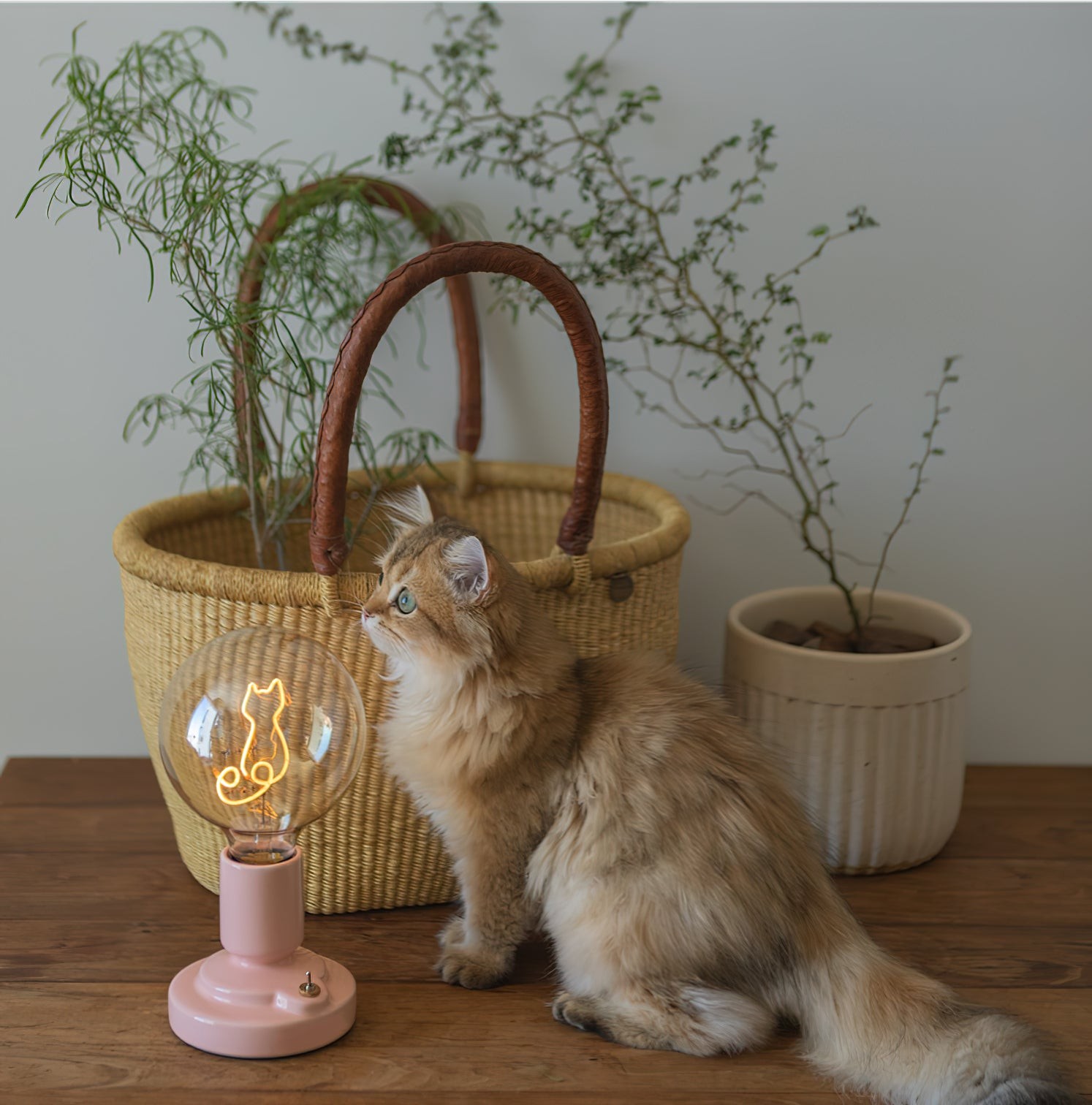 Nordic Style Cat Ceramic Tafellamp Ingebouwde Batterij HL1178