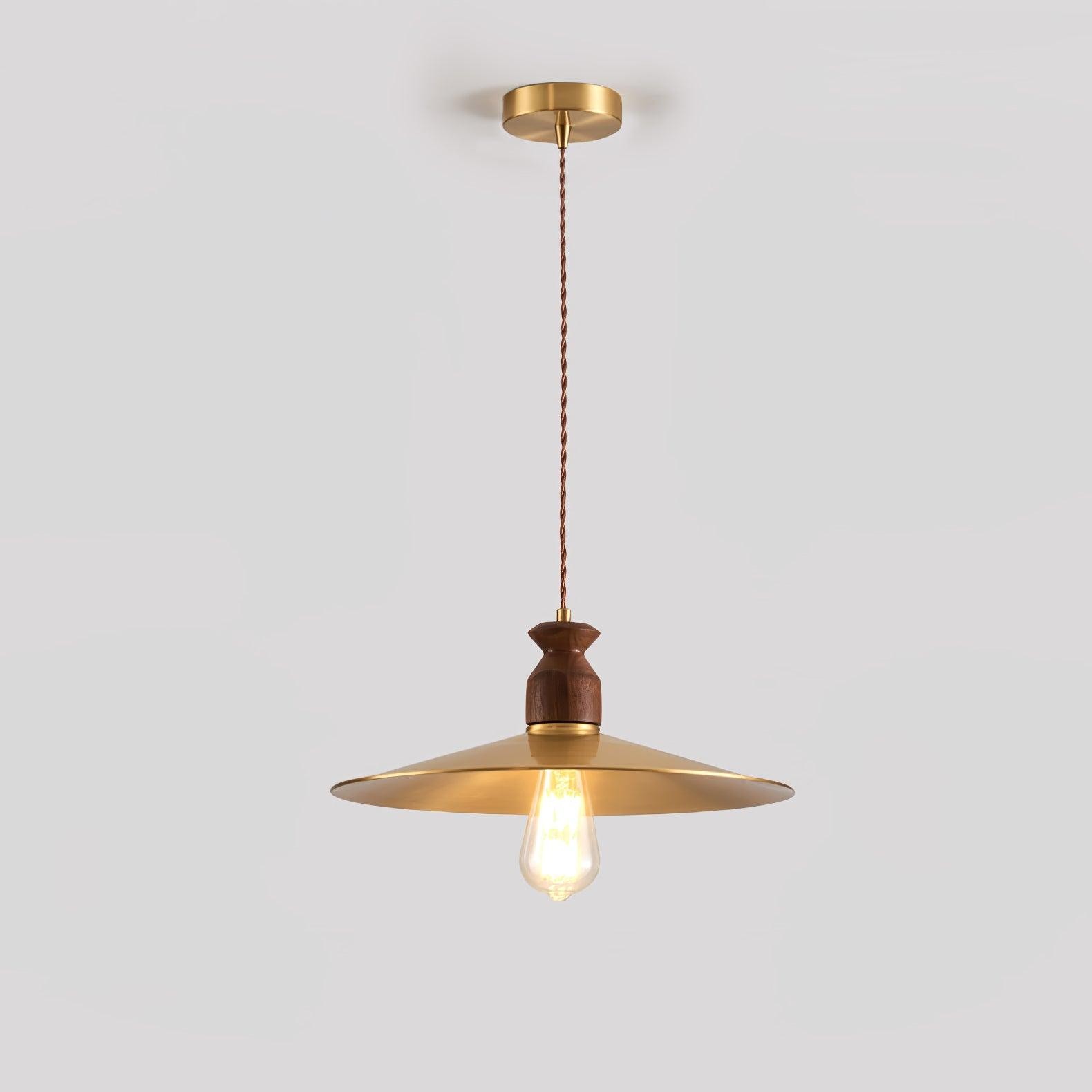 Hanglamp met messing wapenmotief HL2910