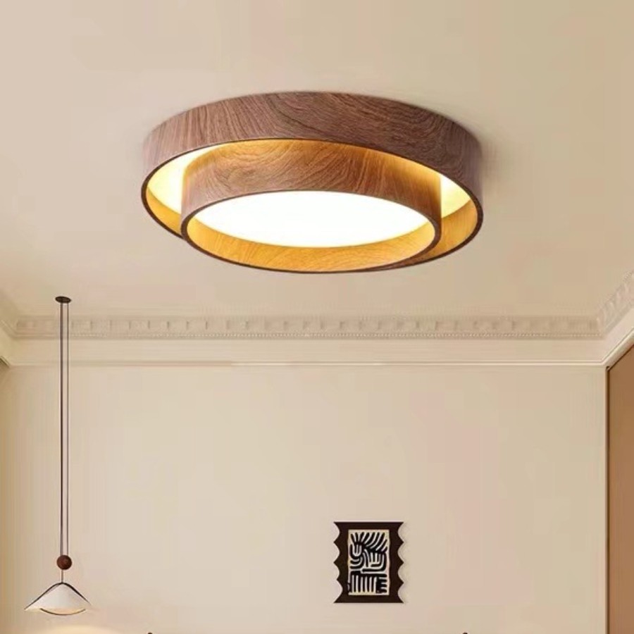 Dubbele Ronde Schijf Melody Plafondlamp HL265