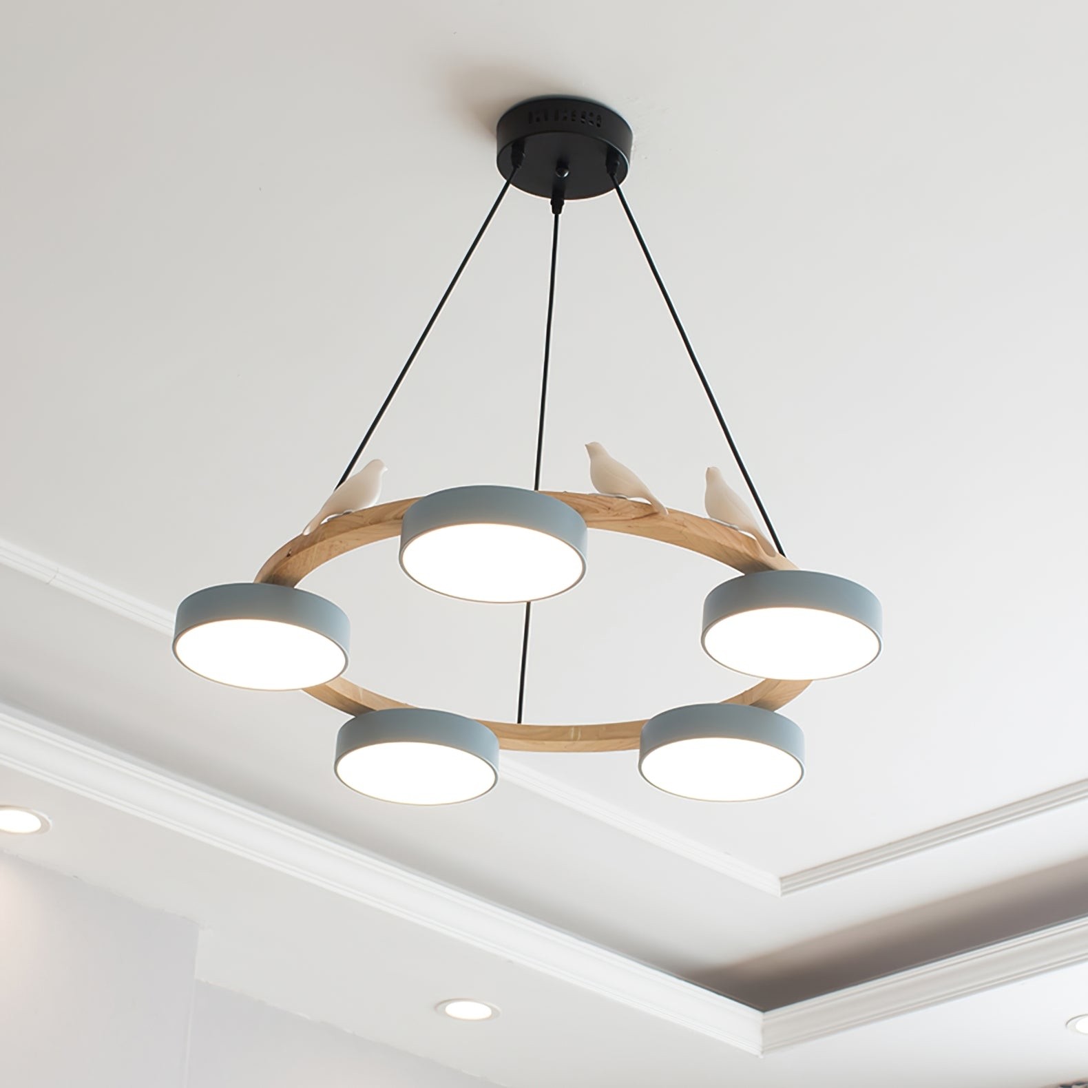 Creatieve Houten Vogel Kleurrijke Ronde Kroonluchter HL926