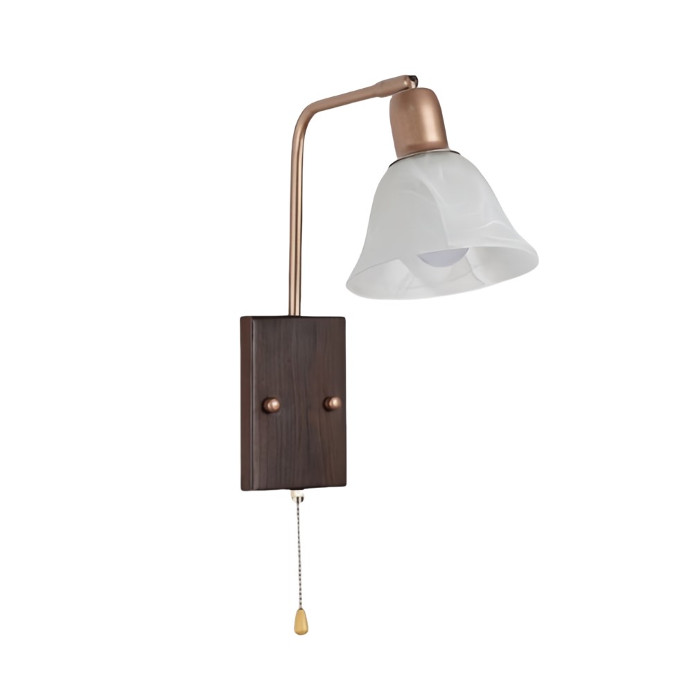 Franse ijzeren glazen bloemenwandlamp met zwenkarm en rits HL1087
