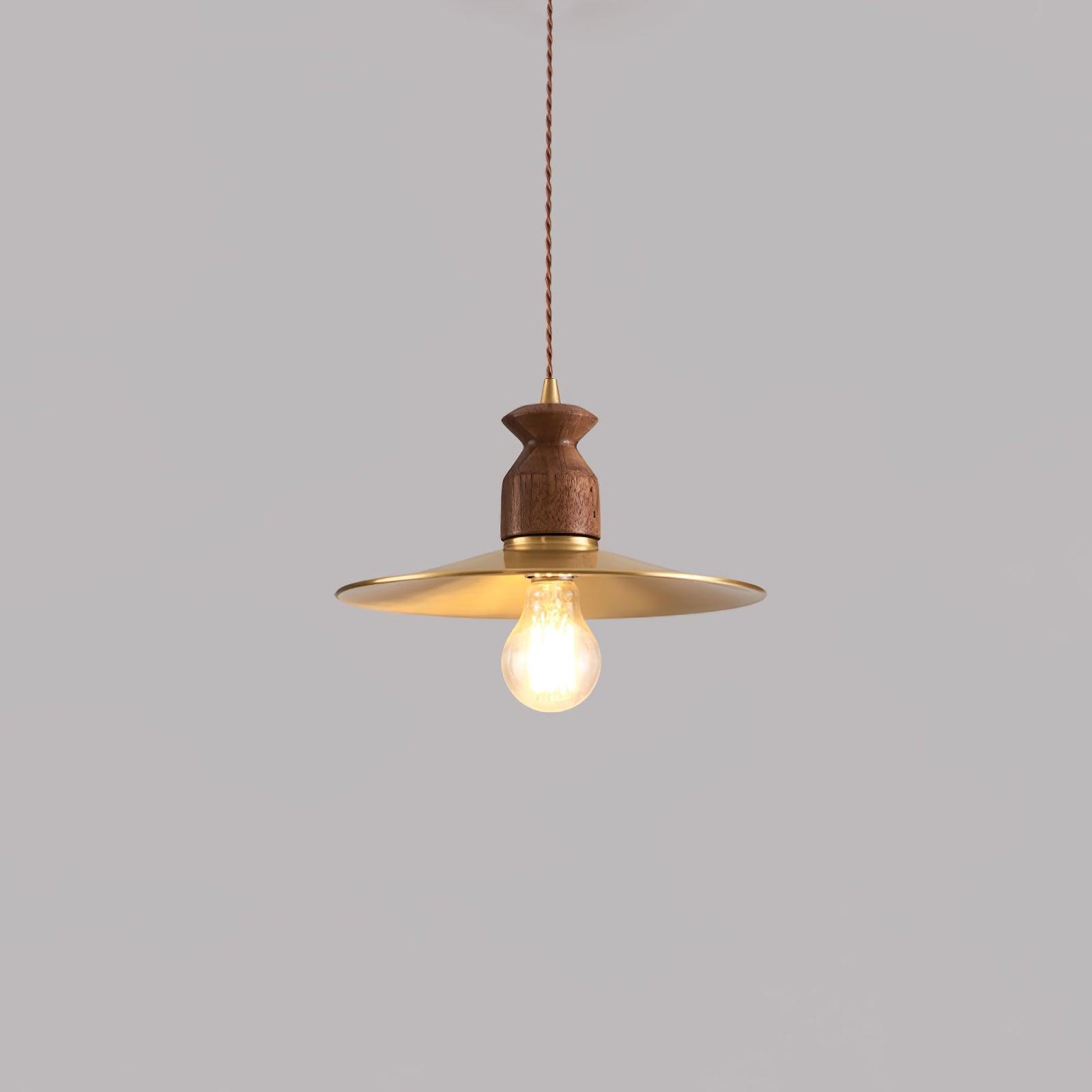 Ronde messing metalen badge gouden hanglamp HL389