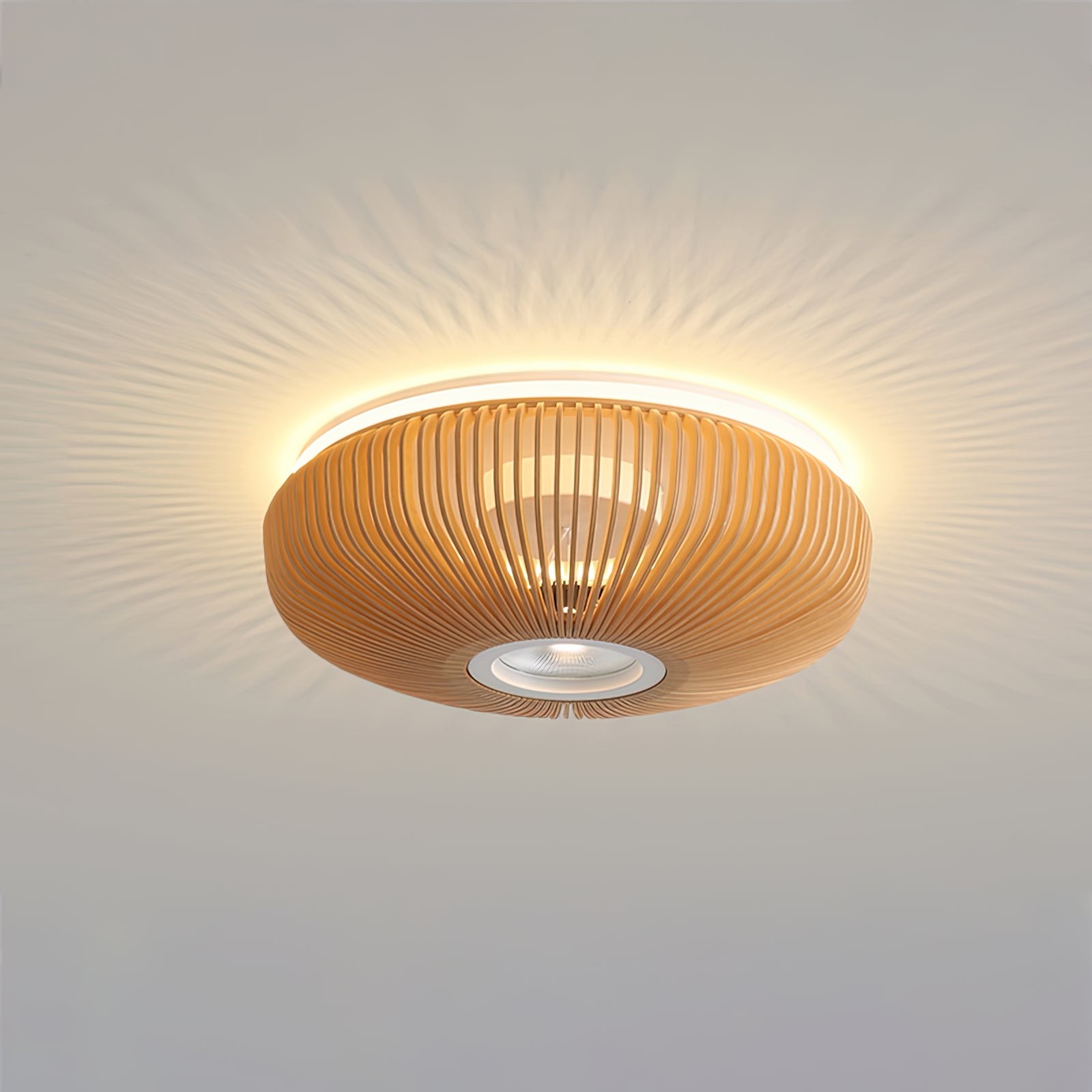 Clava Plafondlamp HL1176