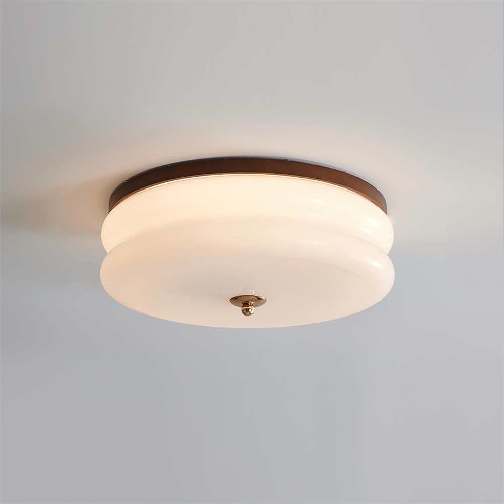 Rowen plafondlamp HL2558