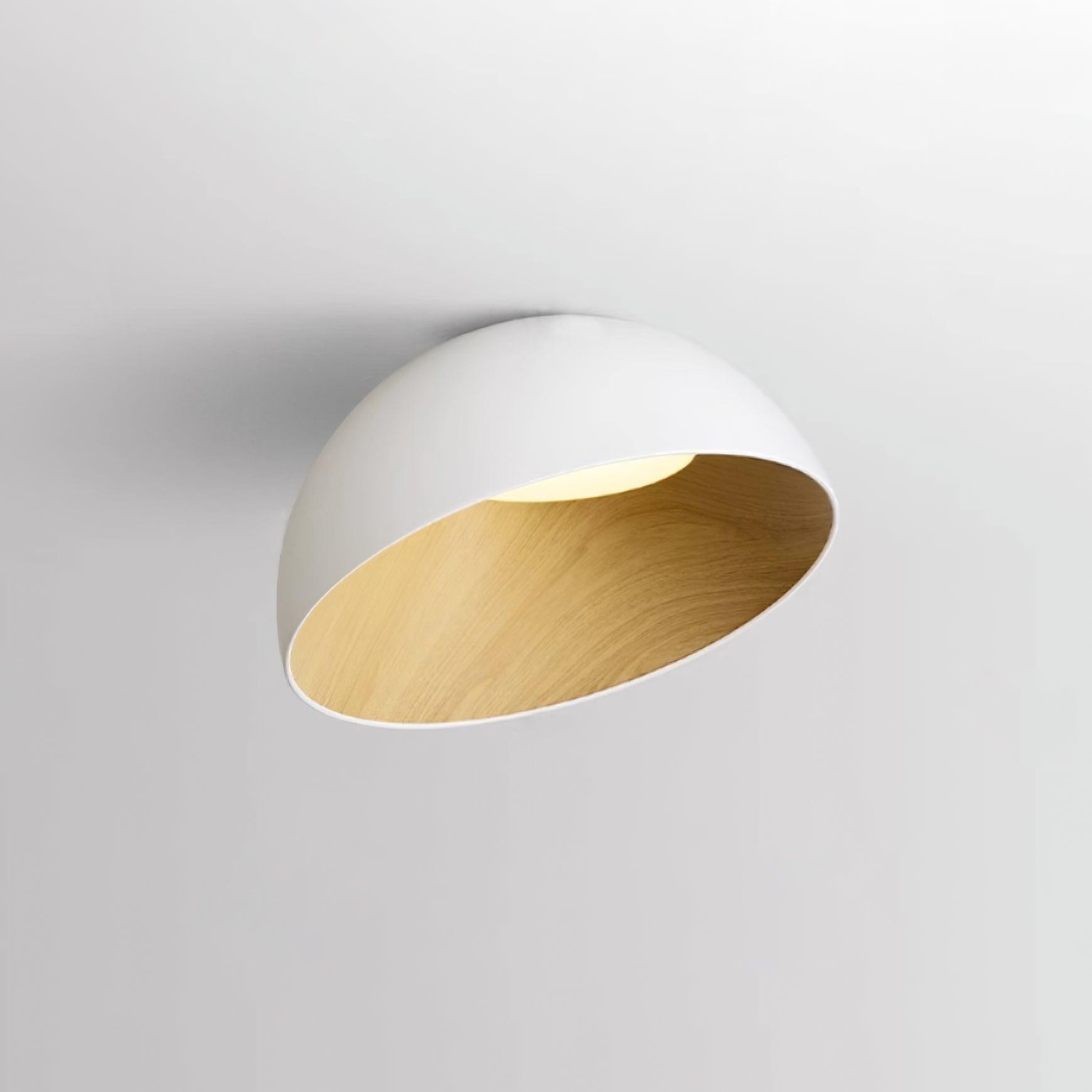 Eenvoudige moderne Scandinavische LED-plafondlamp in eierschaalvorm HL456