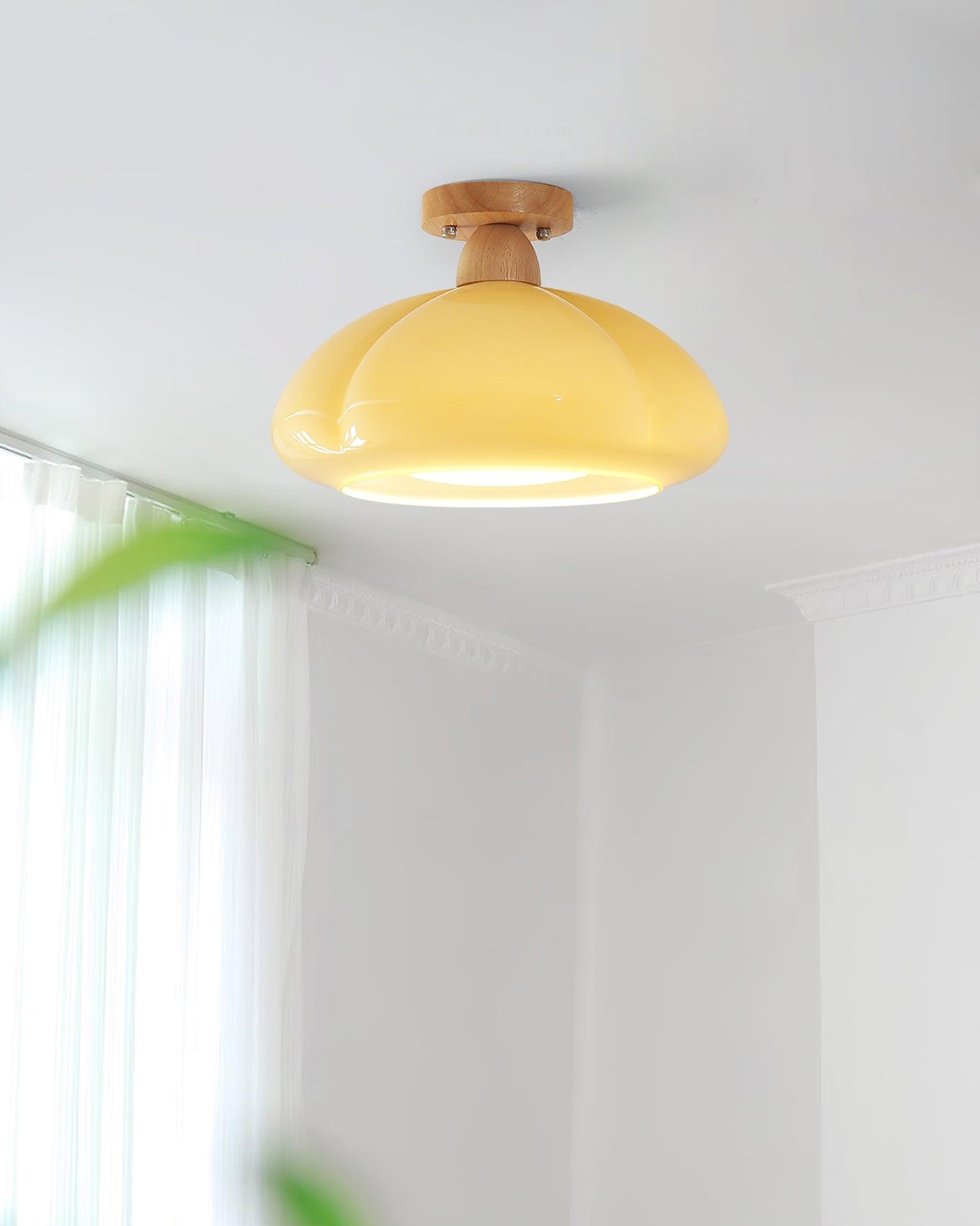 Pompoen Glazen Plafondlamp Voor Keuken HL493