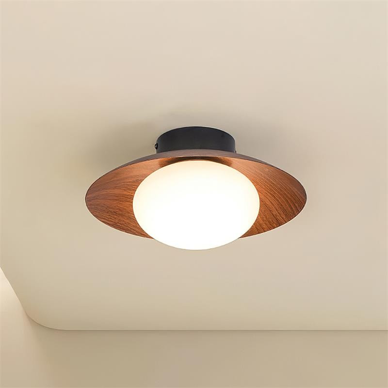 Dawn Creative Simplicity Plafondlamp HL467
