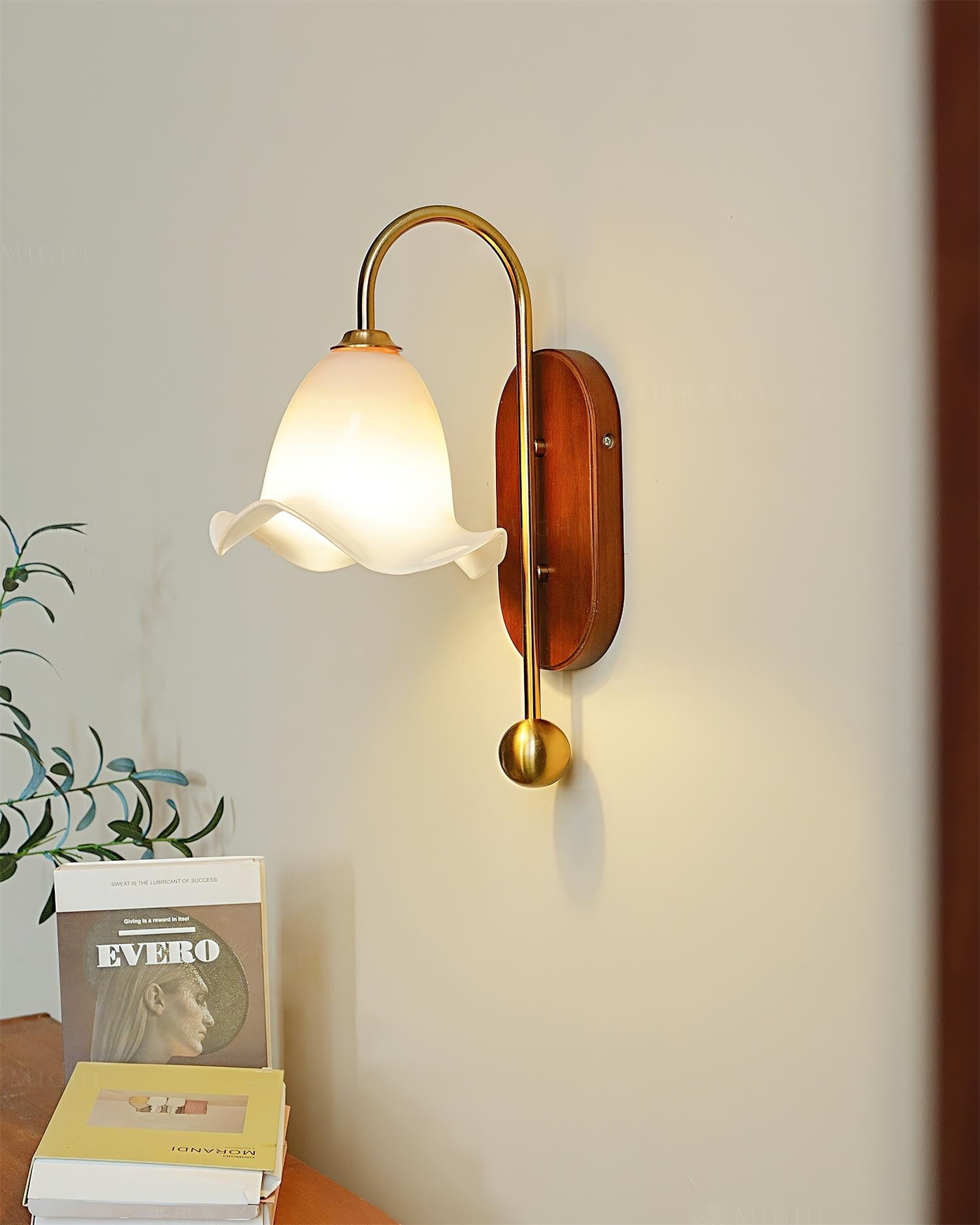 Bellora wandlamp HL2651