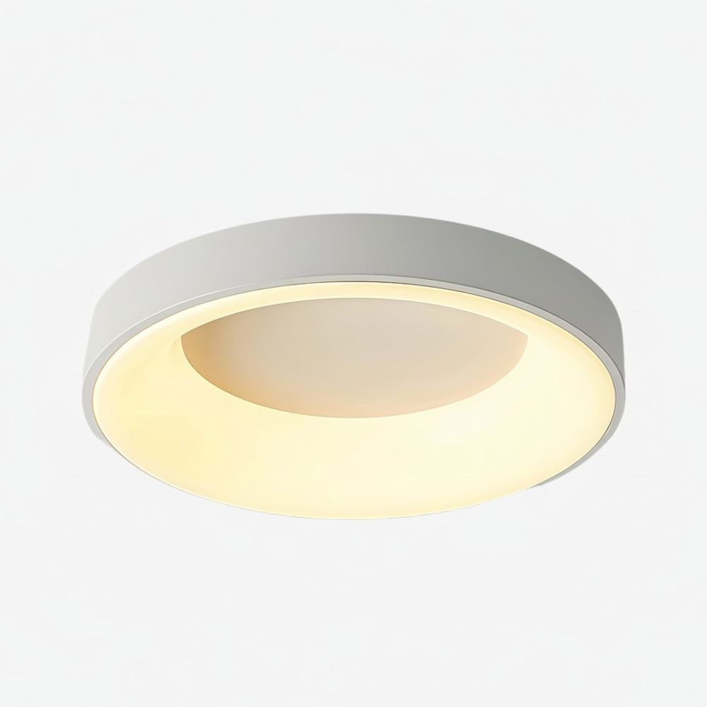 Lumiflexa Moderne Ronde Plafondlamp met Acryl Kap voor Slaapkamer en Hal HL2319