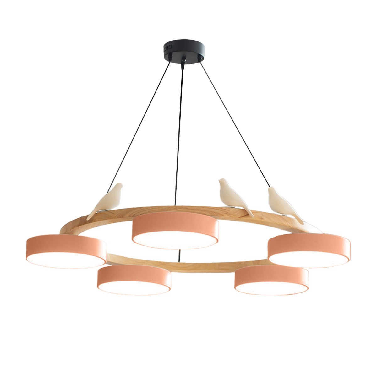 Creatieve Houten Vogel Kleurrijke Ronde Kroonluchter HL926