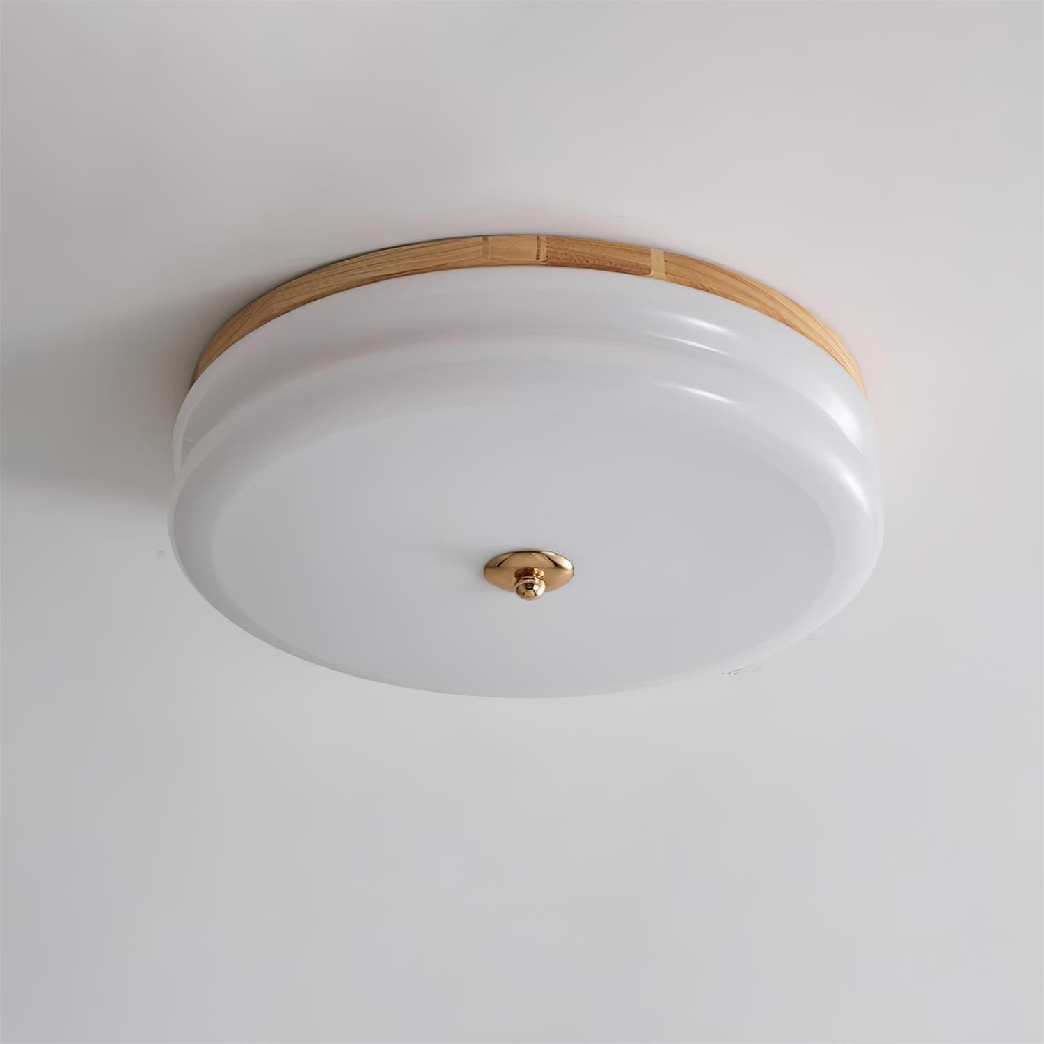 Rowen plafondlamp HL2558