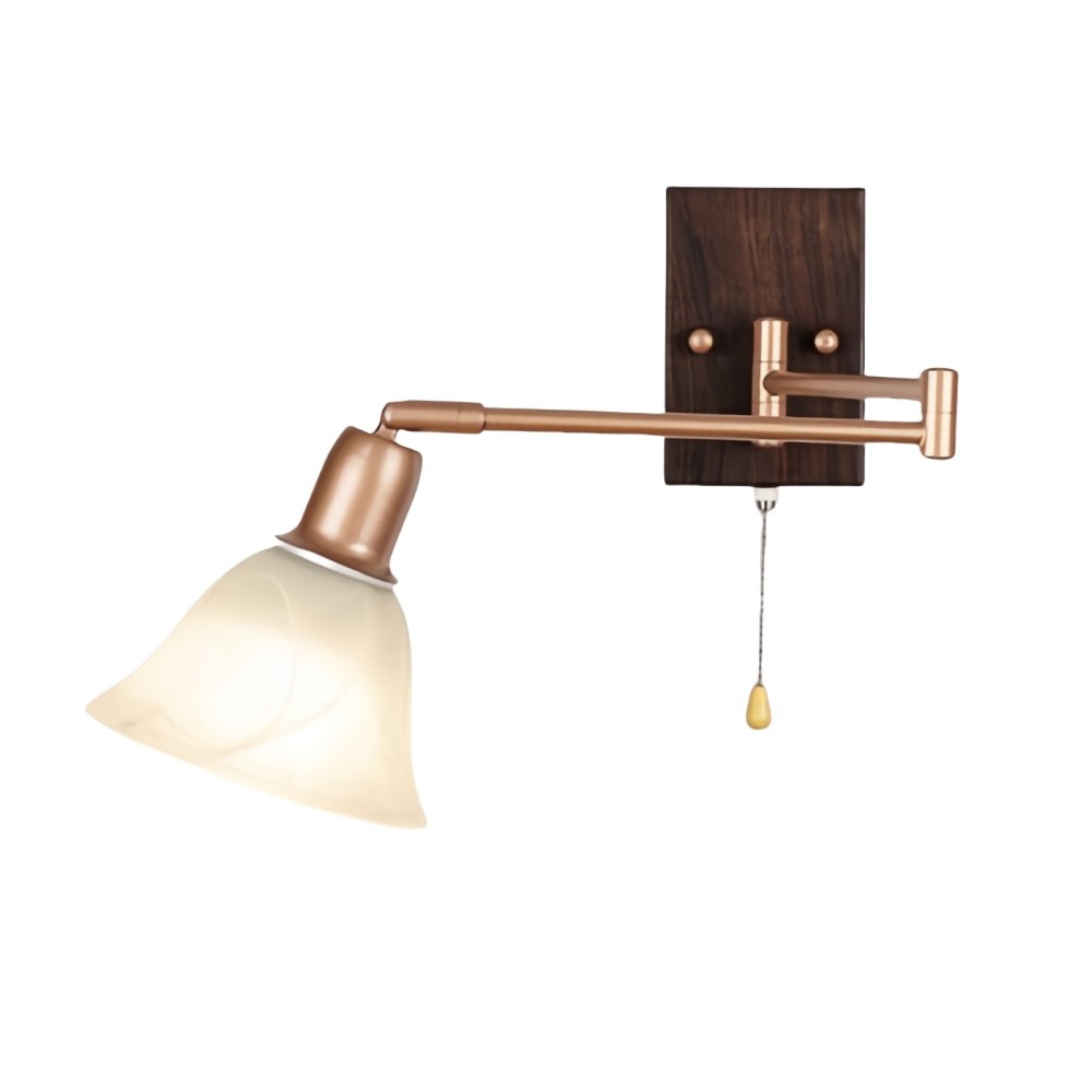 Franse ijzeren glazen bloemenwandlamp met zwenkarm en rits HL1087