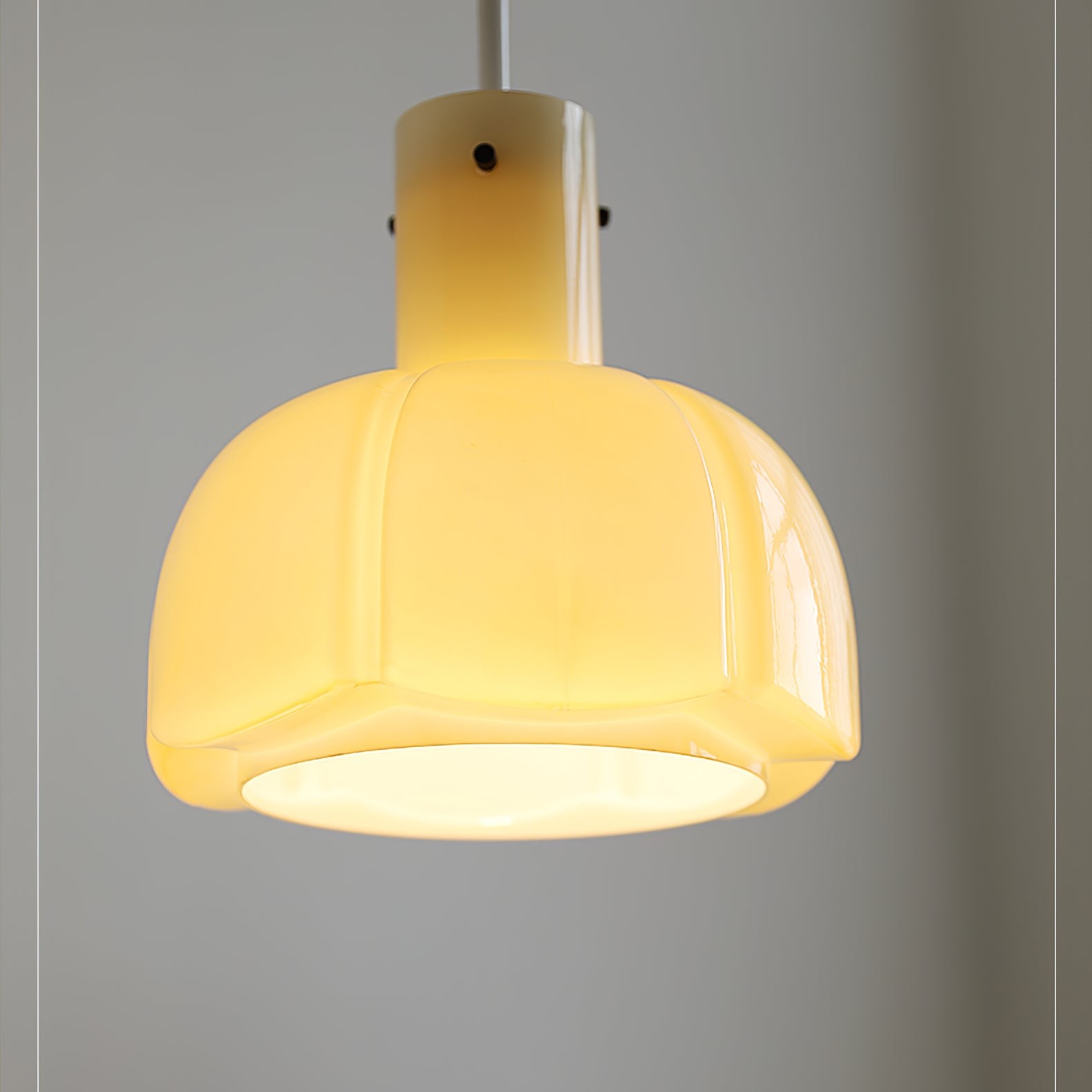 Franse pastorale stijl bloemblaadje glazen hanglamp HL637