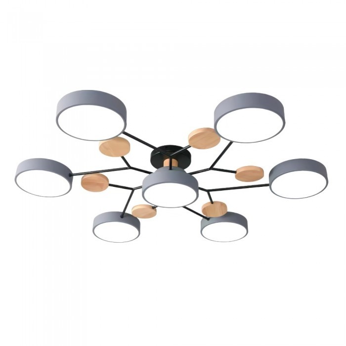 Nordic Vertakte Schijf LED Warm Witte Plafondlamp HL314