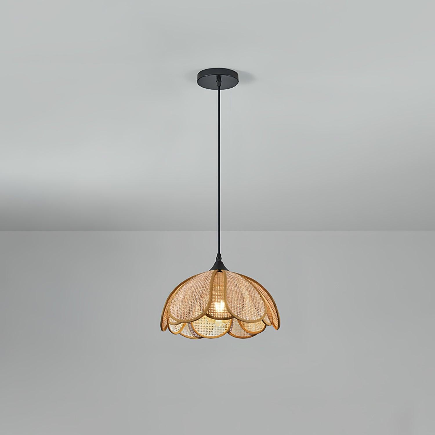 Bloom Rattan Hanglamp HL2911