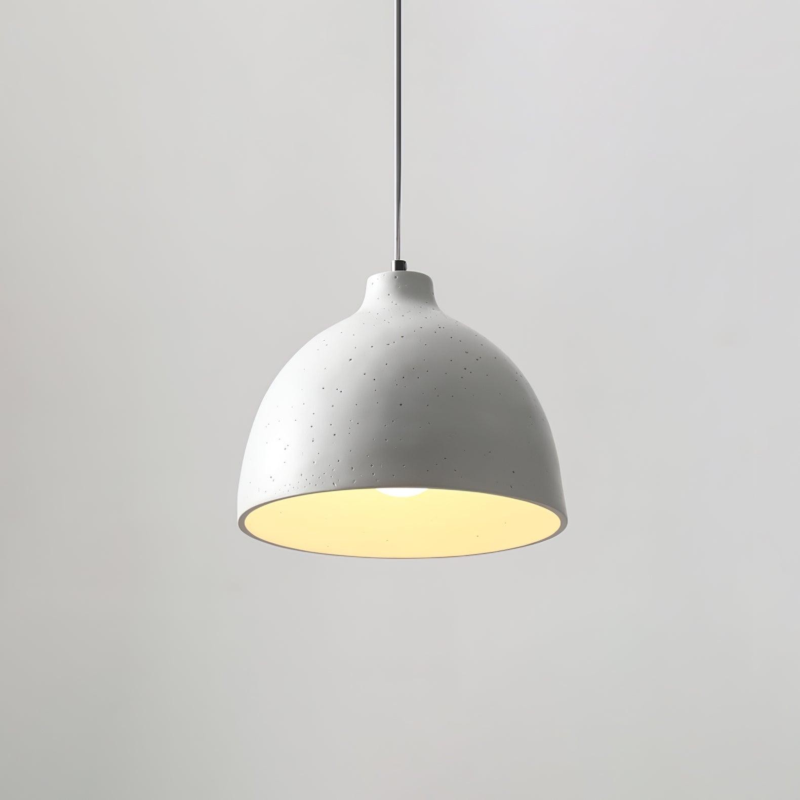 Moderne minimalistische industriële harskom LED hanglamp HL788