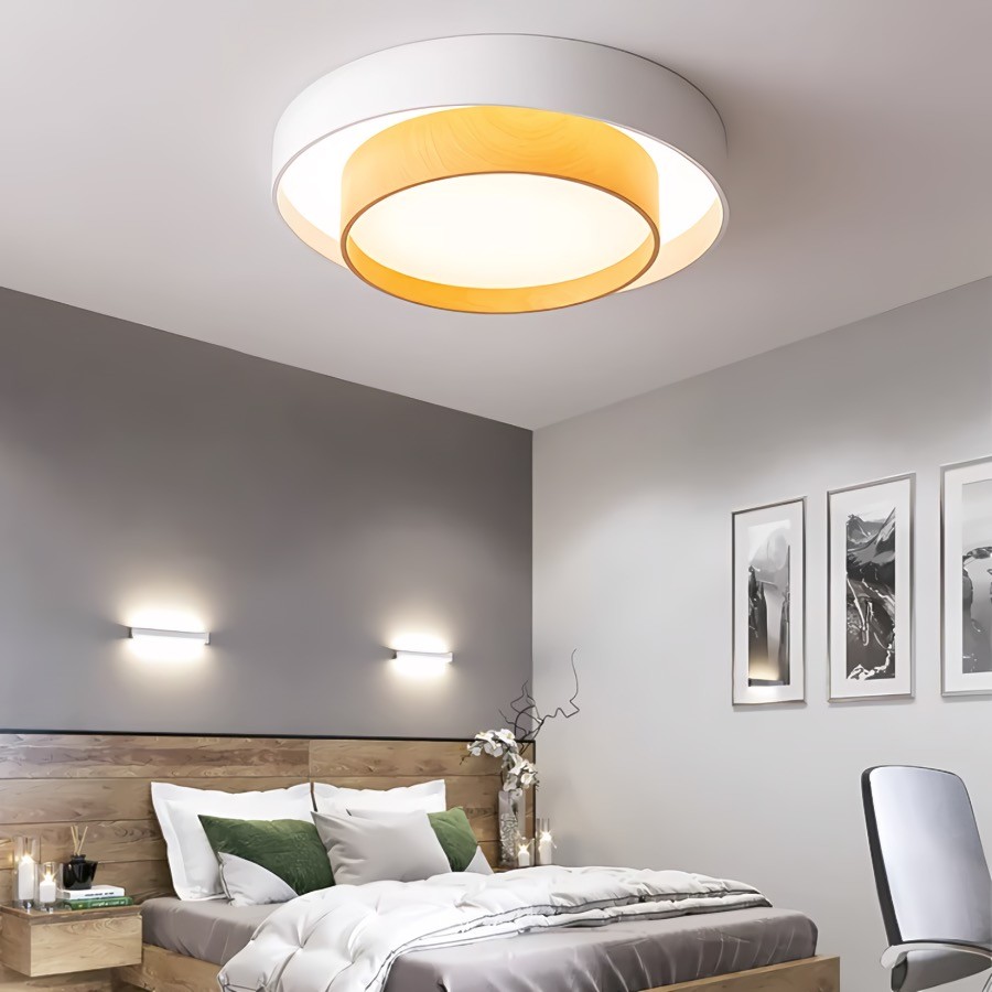 Dubbele Ronde Schijf Melody Plafondlamp HL265