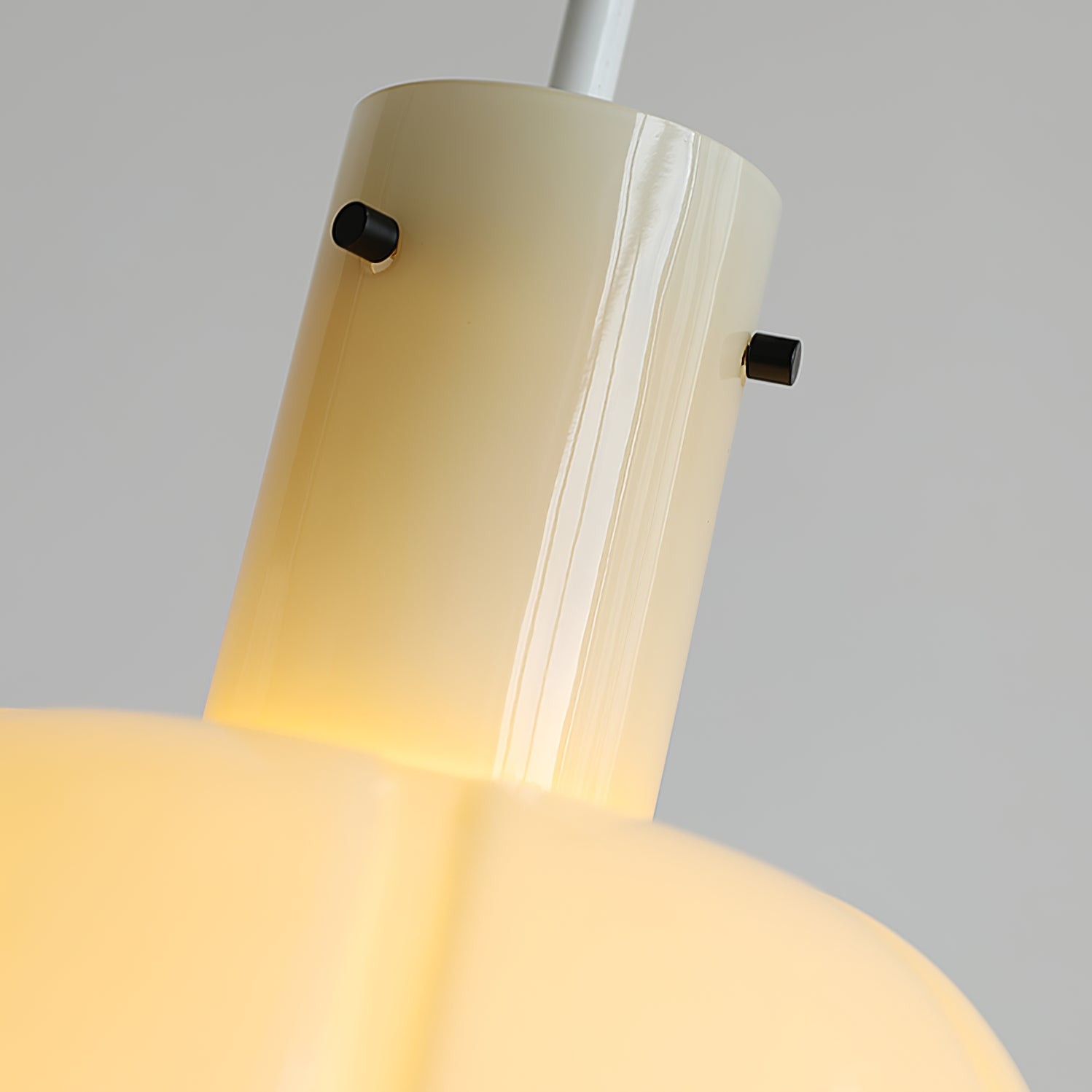 Franse pastorale stijl bloemblaadje glazen hanglamp HL637