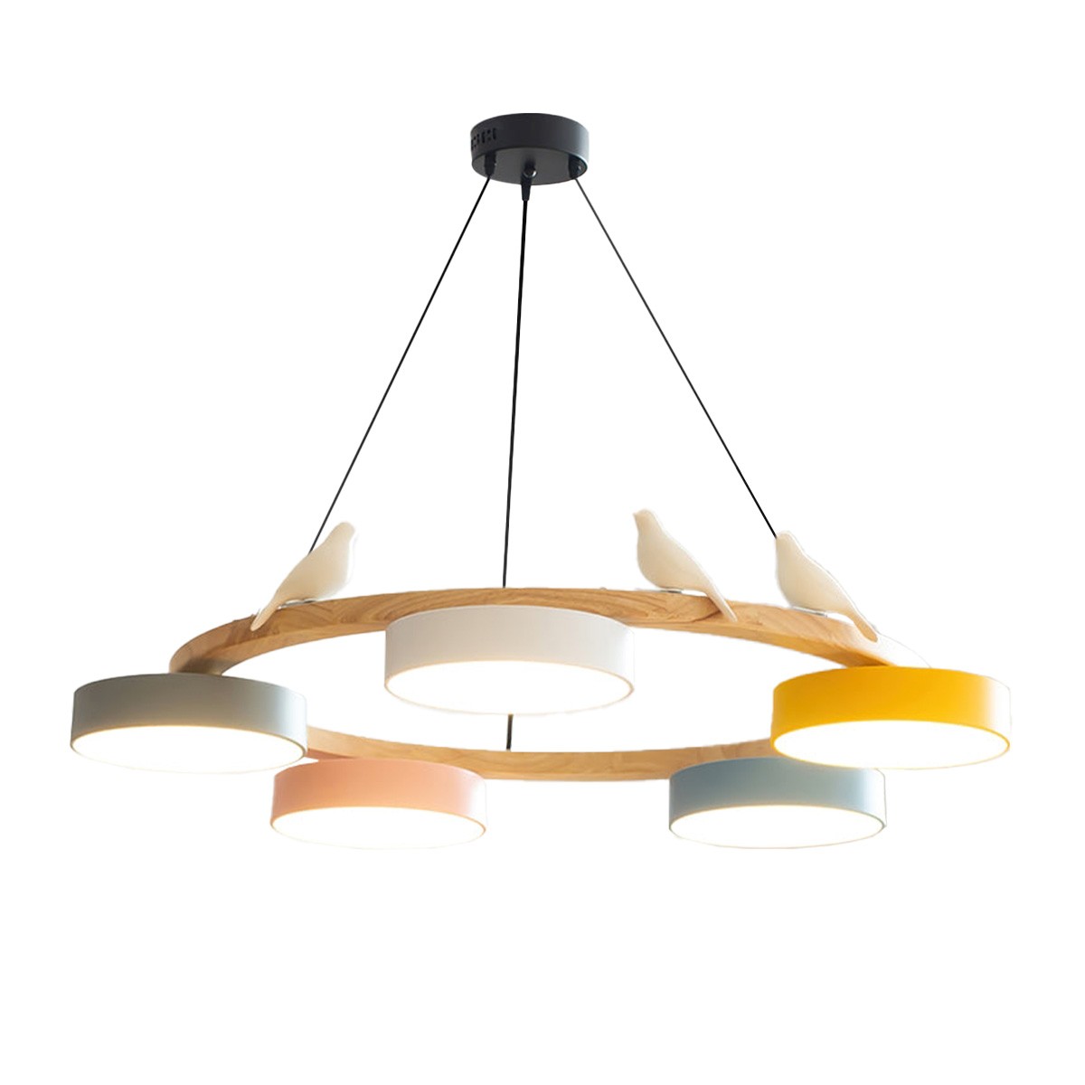 Creatieve Houten Vogel Kleurrijke Ronde Kroonluchter HL926