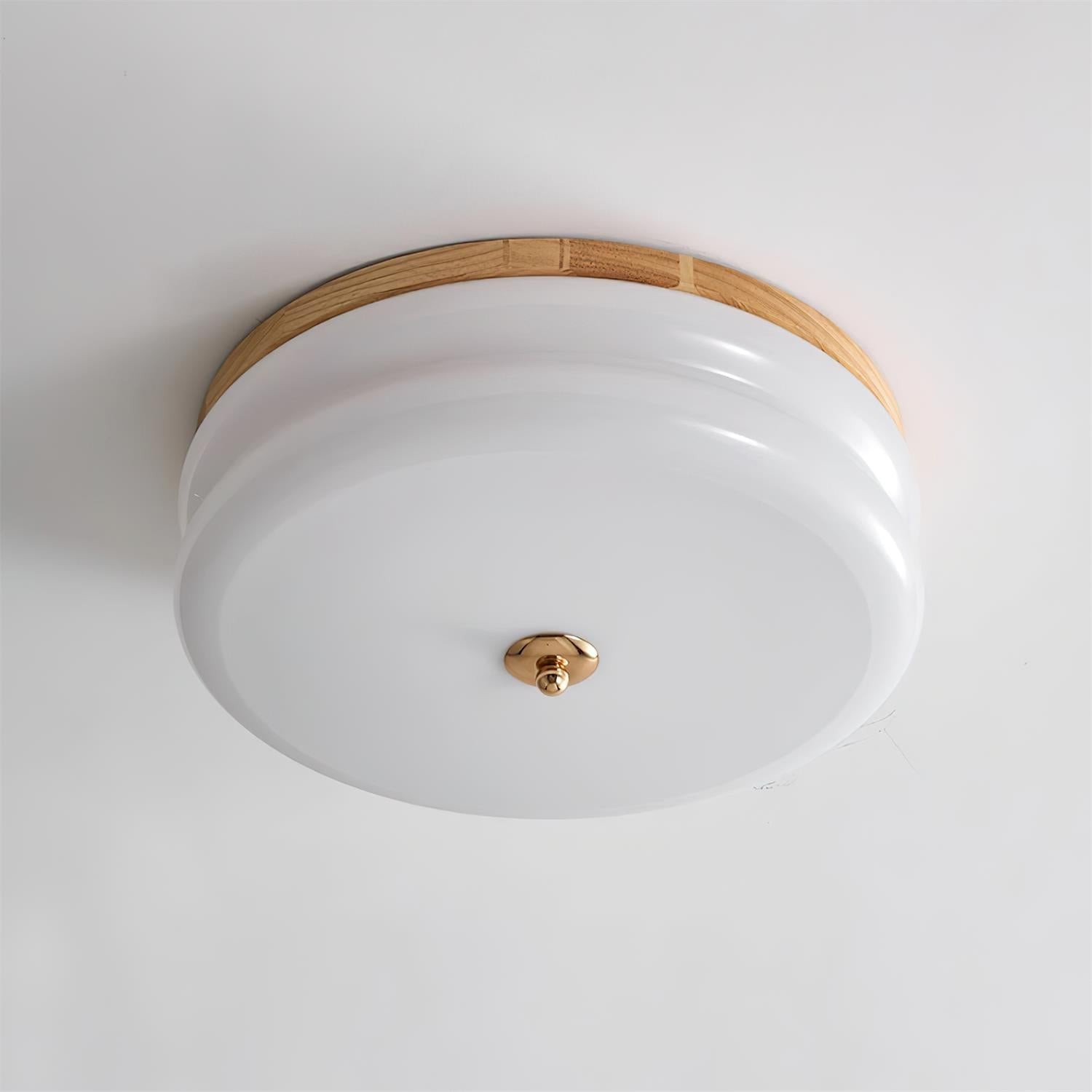 Rowen plafondlamp HL2558