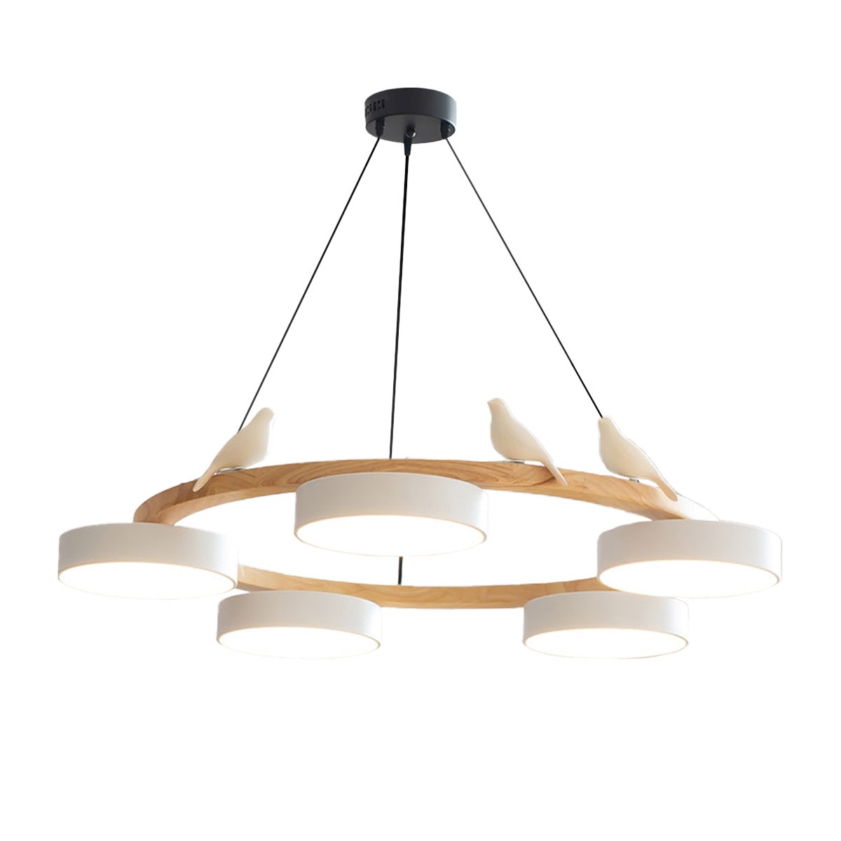 Creatieve Houten Vogel Kleurrijke Ronde Kroonluchter HL926