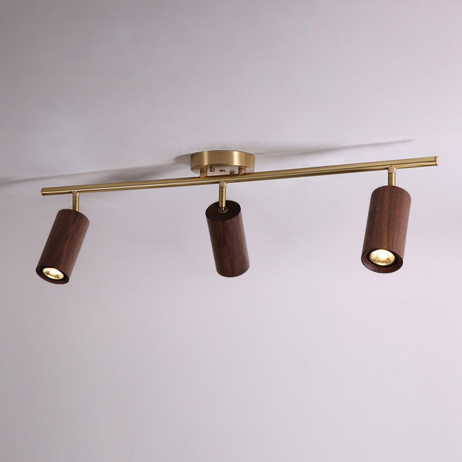 Mode Houten Moderne Railverlichting HL890